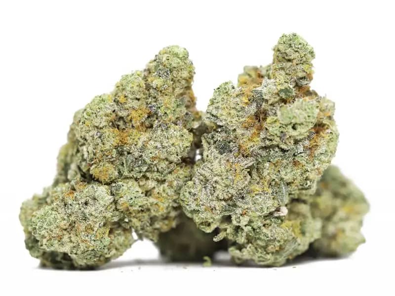 https://hempearth.ca/product-category/organic-dried-cannabis/