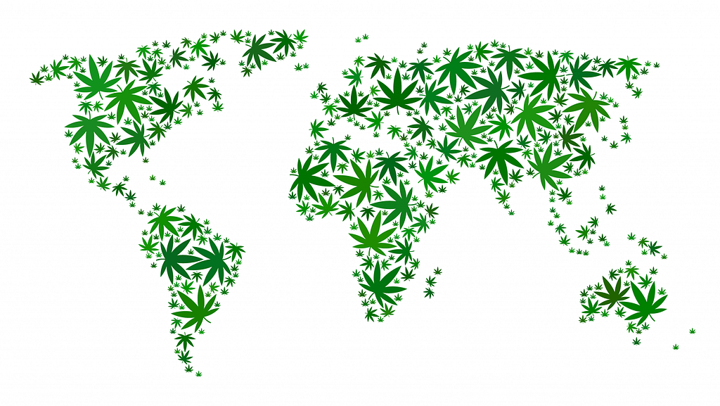 Cannabis Distribution